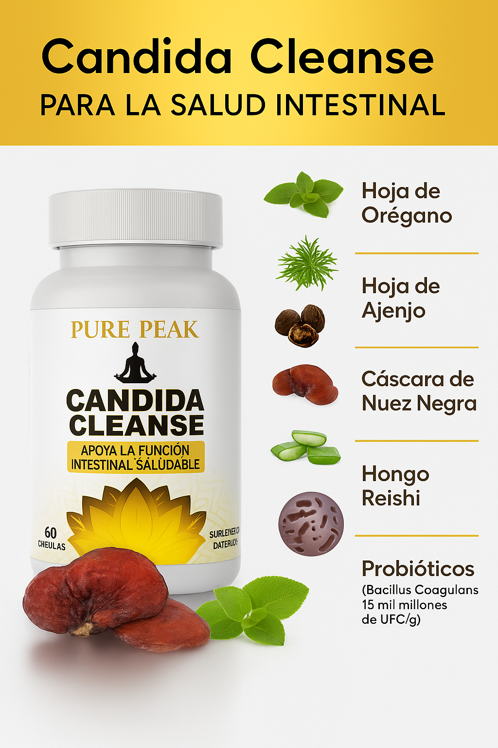 CANDIDA CLEANE